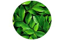 Ingredient 2